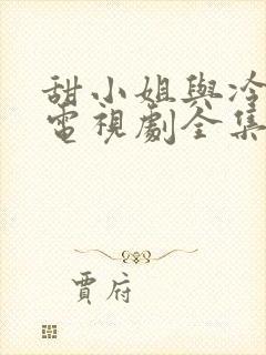 甜小姐与冷先生电视剧全集免费观看