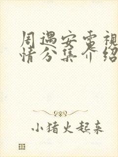 周遇安电视剧剧情分集介绍