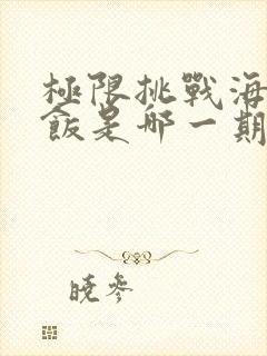 极限挑战海南鸡饭是哪一期封面