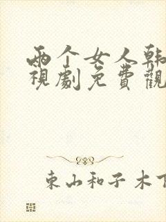 两个女人韩剧电视剧免费观看电视剧