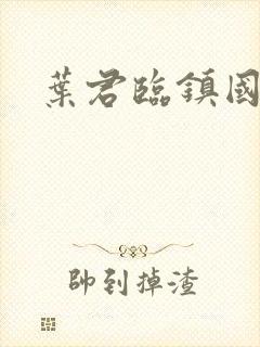 叶君临镇国战神