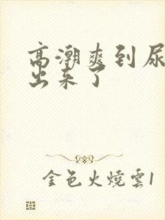 高潮爽到尿都喷出来了