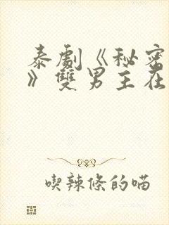 泰剧《秘密关系》双男主在线观看全