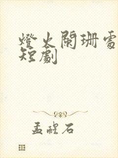 灯火阑珊处网络短剧