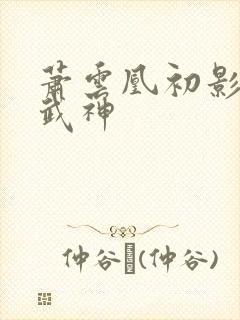 萧云凰初影荒古武神