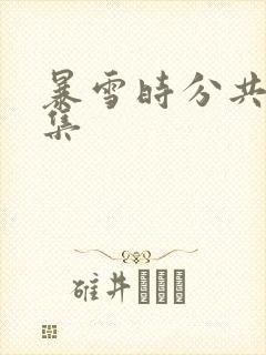 暴雪时分共多少集