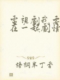 电视剧我要和你在一起剧情介绍