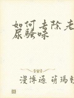 如何去除老鼠屎尿骚味