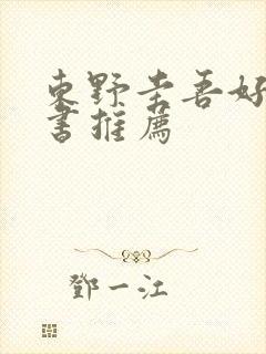 东野圭吾好看的书推荐