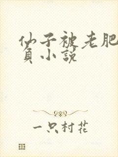 仙子被老肥丑欺负小说