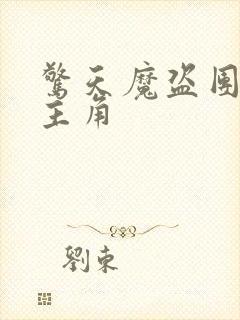 惊天魔盗团3女主角