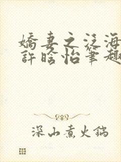 娇妻之泛海之舟许晗怡笔趣阁封面