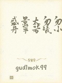 盛景太匆匆沈砚舟宁若曦小说封面