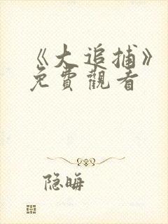 《大追捕》电影免费观看