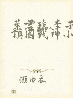 叶君临,李子染镇国战神小说