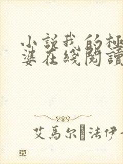 小说我的极品老婆在线阅读