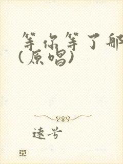 等你等了那么久(原唱)封面