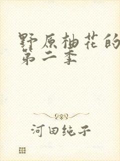 野原柚花的秘密第二季