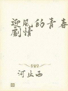 迎风的青春分集剧情封面