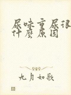 尿味重尿很臭是什么原因