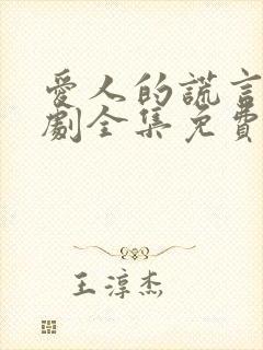 爱人的谎言电视剧全集免费完整封面