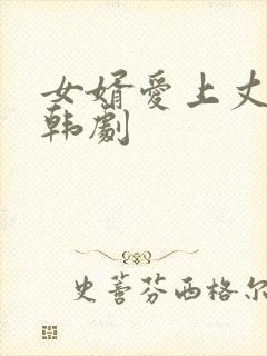 女婿爱上丈母娘韩剧封面