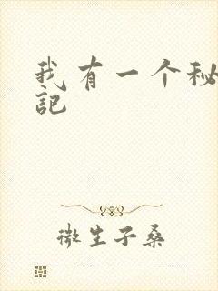 我有一个秘密周记