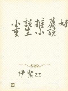 小说推荐好看的重生小说