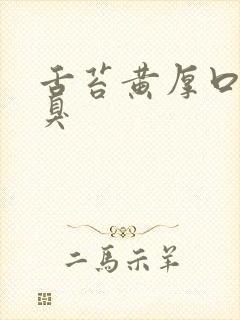 舌苔黄厚口苦口臭