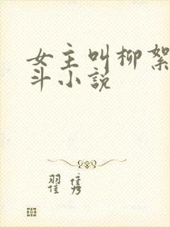 女主叫柳絮的宫斗小说