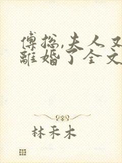 傅总,夫人又闹离婚了全文在线阅读