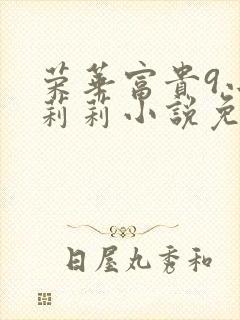 荣华富贵9小王莉莉小说免费阅读封面