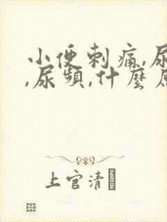 小便刺痛,尿急,尿频,什么原因引起