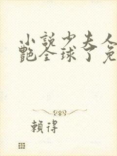 小说少夫人她惊艳全球了免费阅读