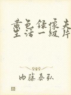 黄色录像夫妻性生活一级片