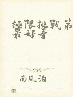 极限挑战第几季最好看