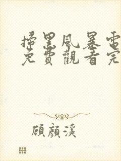 扫黑风暴电视剧免费观看完整版高清