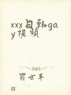 xxx日韩gay视频