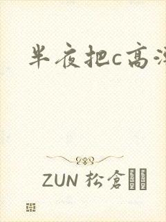 半夜把c高潮了封面