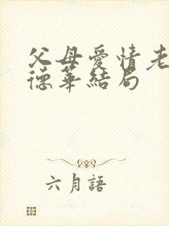 父母爱情老丁和德华结局封面