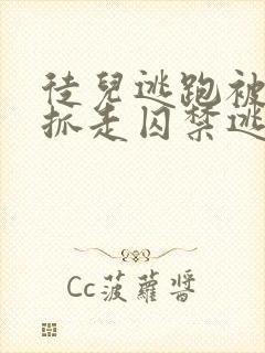 徒儿逃跑被师尊抓走囚禁逃跑的小说封面