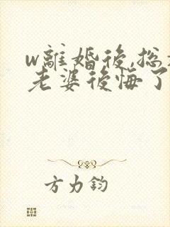 w离婚后,总裁老婆后悔了》