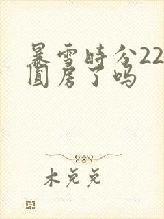 暴雪时分22集圆房了吗封面