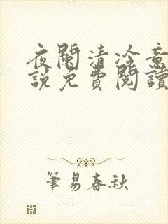 夜阑清冷意欢小说免费阅读