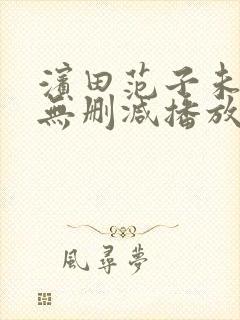 滨田范子未亡人无删减播放