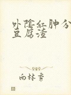 外阴红肿分泌物豆腐渣