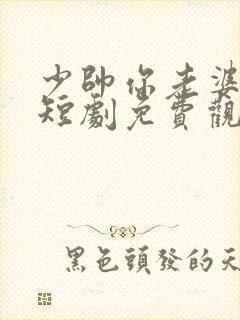 少帅你老婆跑了短剧免费观看封面