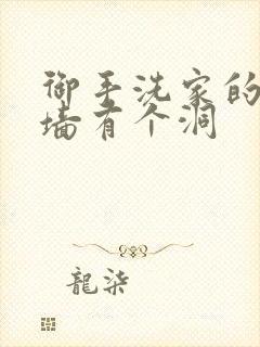 御手洗家的故事墙有个洞