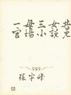 一母三女共一婿官场小说免费阅读