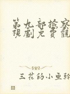 第九部检察官电视剧免费观看全集